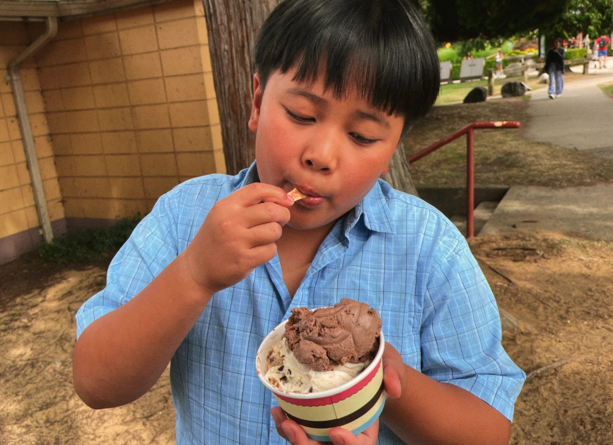(ii) elli with his cookie dough ice cream