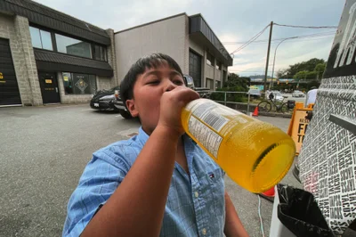 (ii) $6 jarritos pineapple